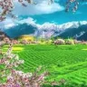 Tratienhang88