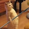 Meomup