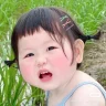 Tuanhoa11