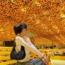 Ta To Quyen