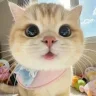 Miuxinhh
