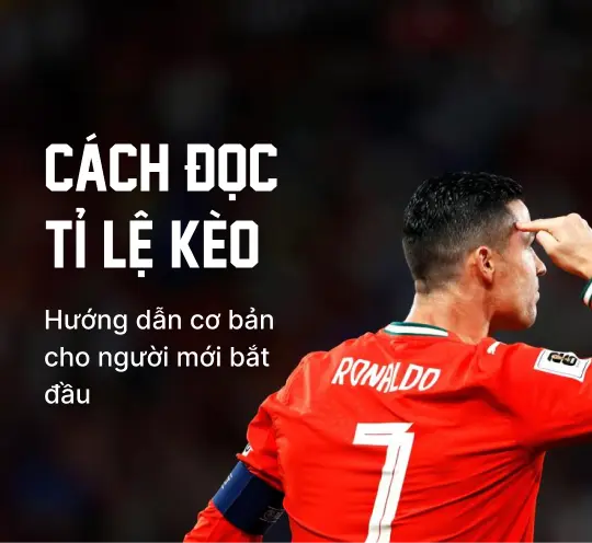 Cách đọc tỉ lệ kèo — Hướng dẫn cơ bản cho người mới bắt đầu